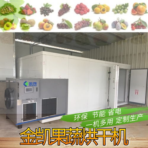 【櫻桃烘干機(jī)金凱水果烘干機(jī)小型果蔬烘干機(jī)】- 