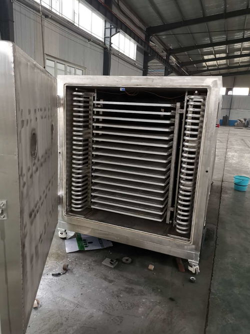 諸城市展鴻機械科技 果蔬烘干機助力農(nóng)產(chǎn)品加工業(yè)提質(zhì)增效