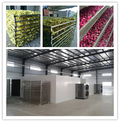 石家莊宏濤蔬菜食品干燥機(jī) 果蔬烘干設(shè)備價(jià)格解析與選購(gòu)指南